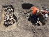 Scheletul unui războinic îngropat alături de calul său, piese din aur, argint şi bronz, descoperite pe traseul Centurii Vest Timişoara - FOTO
