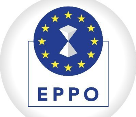 Primar din Bihor, prins în flagrant luând mită, de către procurori ai Parchetului Europen