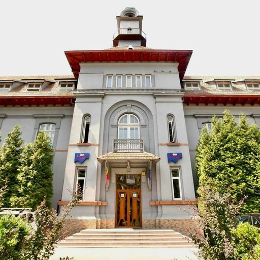 Conf. dr. Florina Rad: Avem un număr redus de psihologi sau de medici, asistenţi medicali, suntem subnormaţi. Şi atunci am dezvoltat o serie de parteneriate cu fundaţii, cu asociaţii, cu o universitate
