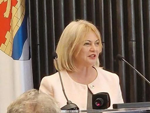 Elena Micicoi (USR) demisionează din funcţia de prefect de Timiş după ce a fost vizată de percheziţii ale Parchetului European