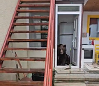 UPDATE - O ursoaică cu pui a intrat într-o casă din oraşul Buşteni/ Refugiaţi afară, proprietarii filmează animalele, încercând să le alunge / Ursoaica a fost împuşcată. Unul dintre pui, rănit mortal. Alţi doi au fugit în pădure - VIDEO