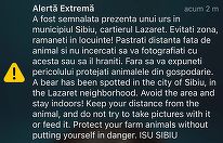 Un urs a fost văzut într-un cartier din municipiul Sibiu/ A fost emis mesaj RO-Alert