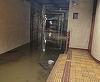 Radu Miruţă anunţă că circulaţia la staţia de metrou Piaţa Victoriei 2, inundată în urma vijeliei şi a ploii torenţiale, va fi reluată, cel mai probabil, joi dimineaţă: Mai sunt de scos 7 milioane de litri