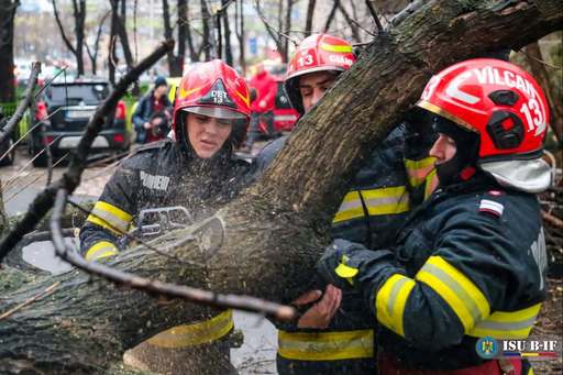 UPDATE - Intervenţii în Bucureşti, pentru îndepărtarea copacilor căzuţi din cauza furtunii / Un arbore a căzut peste o maşină, altul, pe firele de alimentare cu energie electrică / 143 de intervenţii ale pompierilor