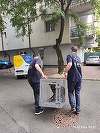 ASPA Bucureşti: 127 de câini capturaţi în doar 20 de zile / Un lucru îngrijorează însă de fiecare dată: aproape jumătate dintre câinii ajunşi în adăposturi sunt pui