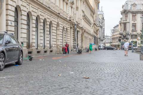 Primria Bucureşti, după ce au fost semnalaţi şobolani în Capitală: Pentru ca deratizarea să funcţioneze, e necesară menţinerea curăţeniei, gestionarea mai eficientă a deşeurilor, igienizarea clădirilor şi a terenurilor abandonate – FOTO / VIDEO