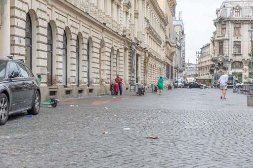 Primăria Bucureşti, după ce au fost semnalaţi şobolani în Capitală: Pentru ca deratizarea să funcţioneze, e necesară menţinerea curăţeniei, gestionarea mai eficientă a deşeurilor, igienizarea clădirilor şi a terenurilor abandonate – FOTO / VIDEO