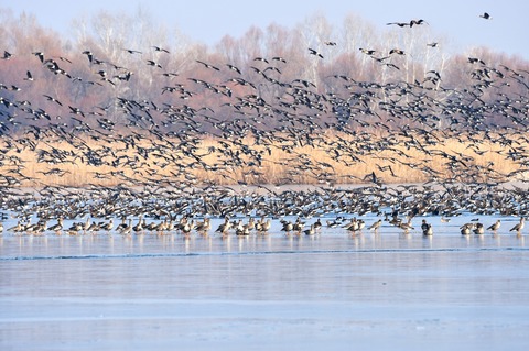Ministerul Mediului pune în consultare publică proiectul Catalogului naţional al zonelor prioritare pentru biodiversitate

