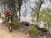 Pompierii români din cel de-al doilea schimb al modulului specializat în stingerea incendiilor de pădure, aflat în Franţa între 16 şi 31 iulie, au revenit în ţară/ Al treilea schimb al modulului continuă misiunile în sprijinul autorităţilor franceze -FOTO
