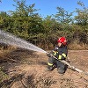 Avertismentele pompierilor pentru perioadele caniculare: Incendiile de vegetaţie uscată se pot extinde rapid punând în pericol vieţi omeneşti, gospodării, terenuri agricole şi păduri/ Cum pot fi prevenite