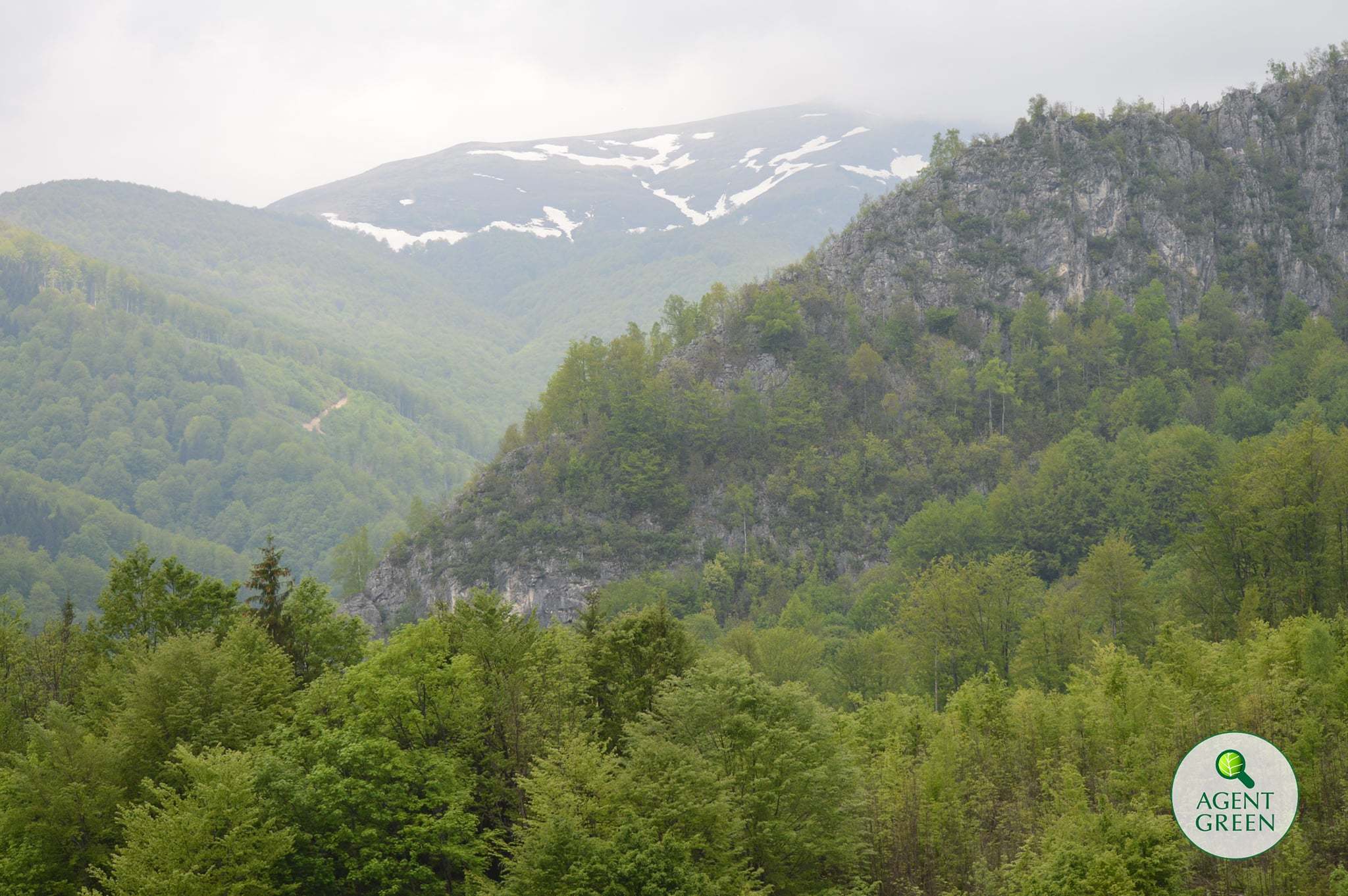 Ordinul pentru desemnarea a 472 de zone prioritare pentru biodiversitate - Activiștii de mediu: România a promis 10% protecție strictă, Ministerul Mediului pune pe hartă doar 2,54%