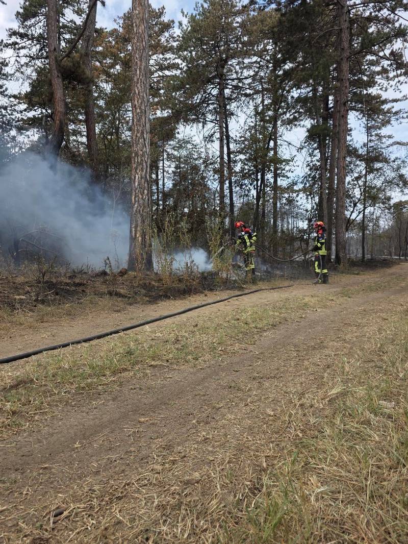 Pompierii români dislocați în Serbia intervin pentru localizarea incendiilor la litiera pădurii din apropierea localităților Kajtasovo și Grebenac