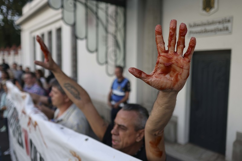 Protest la Palatul Cotroceni, după ieșirea publică prin care președintele Nicușor Dan l-a disculpat pe șeful SPP: ”Nicușoare, lasă clonțu, dă-l afară pe Pahonțu”, au scandat manifestanții - FOTO