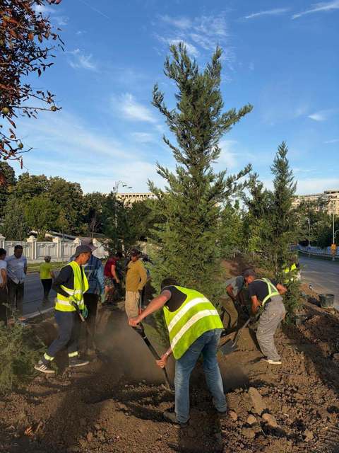 Ciprian Ciucu: Am început în forţă plantările pe 13 Septembrie, să transformăm zona într-un coridor verde