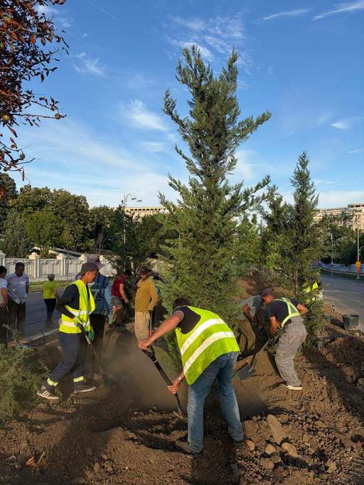 Ciprian Ciucu: Am început în forţă plantările pe 13 Septembrie, să transformăm zona într-un coridor verde