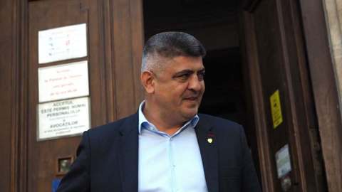 Diana Buzoianu denunţă „ilegalităţile” comise de direcţii silvice „putred de corupte” din Romsilva: Procesele în instanţă se pierd cu complicitatea autorităţilor/ Explicaţiile ministrului Mediului în cazul drumului de acces prin Pădurea Băneasa