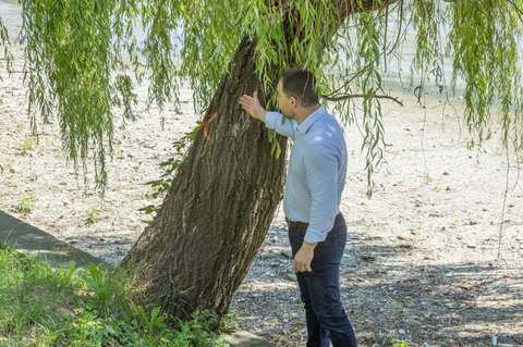 Primăria Capitalei anunţă că peste o mie de arbori sănătoşi din Parcul Herăstrău au fost salvaţi de la defrişare/ Ciucu: Am făcut tot ce pot să schimbăm soluţia tehnică iniţială. Nu pot să-mi imaginez o alee de doi metri de beton în jurul lacului - FOTO