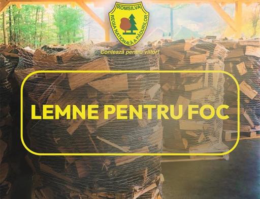 Romsilva pune la dispoziţia populaţiei aproximativ 2 milioane de metri cubi de lemn pentru foc în 2026, la preţuri similare celor de anul trecut