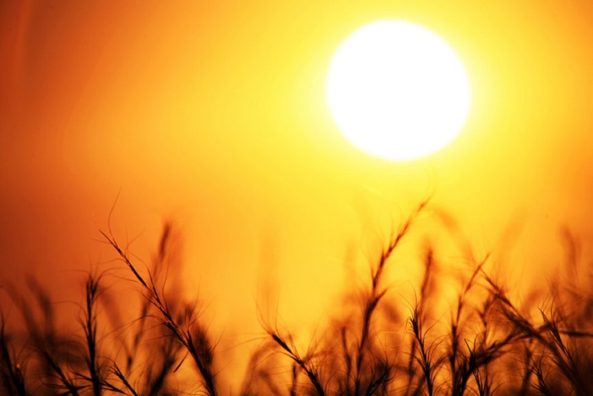 Asociaţia Suport pentru Educaţie şi Sănătate lansează campania de informare şi educare privind pericolele expunerii prelungite la soare, a efectelor luminii solare în sezonul estival