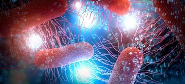 O nouă tehnologie pentru combaterea rezistenţei la antibiotice