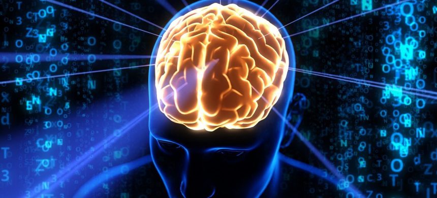 Oamenii de ştiinţă au înregistrat semnale puternice în materia albă a creierului. „Nu ştim ce înseamnă acest lucru”

