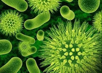 Cercetătorii au identificat un tipar cheie în cazul persoanelor care suferă de Covid prelungit