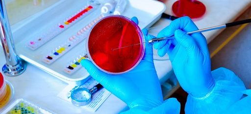 Cercetătorii au dezvoltat un model asemănător unui embrion care simulează producţia timpurie de sânge uman