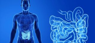 Microbiomul intestinal ar putea influenţa vârsta organismului uman