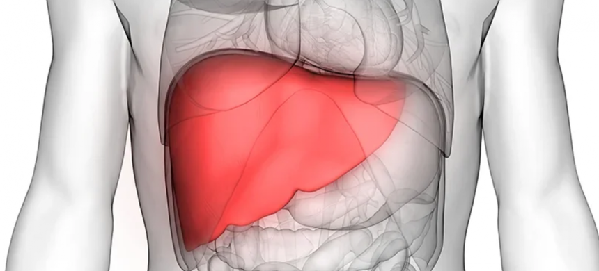 Tuberculoza modifică metabolismul ficatului şi ar putea favoriza diabetul, au descoperit cercetătorii