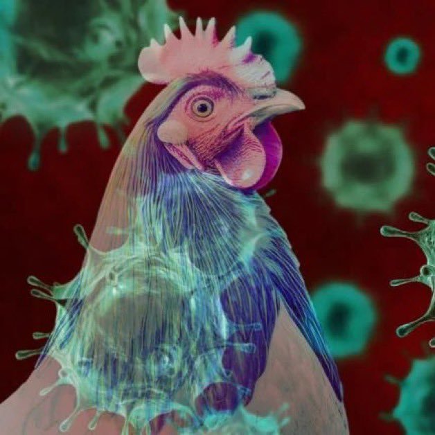 Gripa aviară a mutat genetic în corpul unui american!