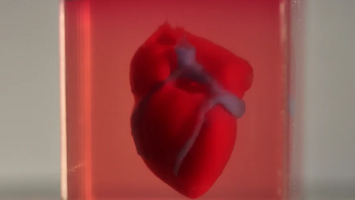 Cardiologii recomandă respectarea tratamentului prescris pentru prevenirea şi controlul bolilor cardiovasculare: În România, mortalitatea cardiovasculară depăşeşte 50% din totalul deceselor anuale, iar prevalenţa hipertensiunii la bărbaţi depăşeşte 50%

