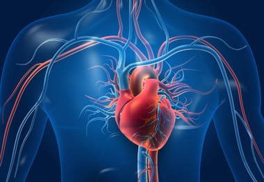 Un nou instrument prezice mai precis riscul de boli cardiovasculare
