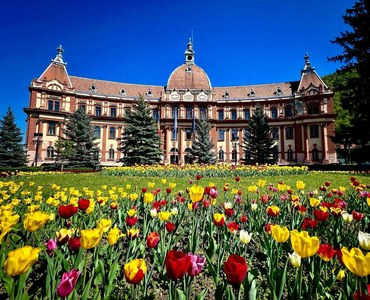 Consiliul Judeţean Braşov cumpără echipamente IT pentru mai multe spitale / O asociere de firme şi patru ofertanţi unici au depus oferte, care urmează a fi analizate / Valoarea investiţiilor

