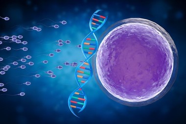 Mutaţiile genetice din spermatozoizi pe măsură ce bărbaţii înaintează în vârstă cresc riscul de boli la copii, sugerează un studiu