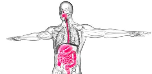 Misterul bolii Crohn, elucidat?