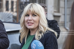 Elena Udrea cere ministrului de Interne să se renunţe la cătuşele celor reţinuţi de procurori