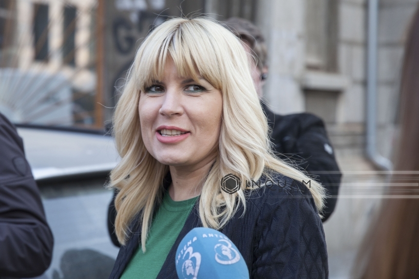 Elena Udrea cere ministrului de Interne să se renunţe la cătuşele celor reţinuţi de procurori