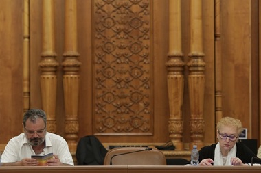 UPDATE: Renate Weber este noul Avocat al Poporului/ Ce spune Renate Weber despre atacarea OUG la CCR