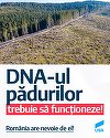 Motivare CCR:  La adoptarea legii privind înfiinţarea DNA al pădurilor s-a avut în vedere o sursă de finanţare incertă