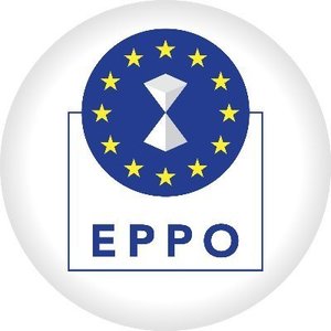 Om de afaceri român şi firma pe care o reprezenta, trimişi în judecată de Parchetul European pentru fraudă cu fonduri europene estimată la 3 milioane de euro  
