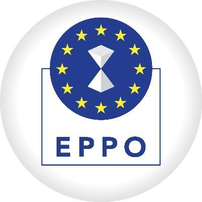 Om de afaceri român şi firma pe care o reprezenta, trimişi în judecată de Parchetul European pentru fraudă cu fonduri europene estimată la 3 milioane de euro  