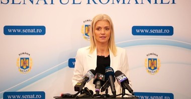 Senatul a adoptat, ca for decizional, proiectul privind statutul asistentului judecătorului / Gorghiu: Este o legislaţie aşteptată de CSM, o lege care îi va ajuta pe judecători în activitatea lor