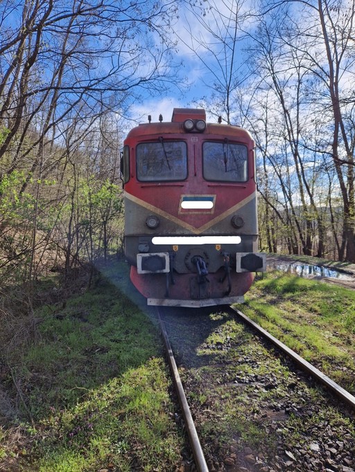 Deputaţii au modificat Codul penal / Angajaţii din domeniul feroviar care provoacă accidente de cale ferată din cauza alcoolului sau drogurilor riscă închisoare de la 3 la 10 ani 