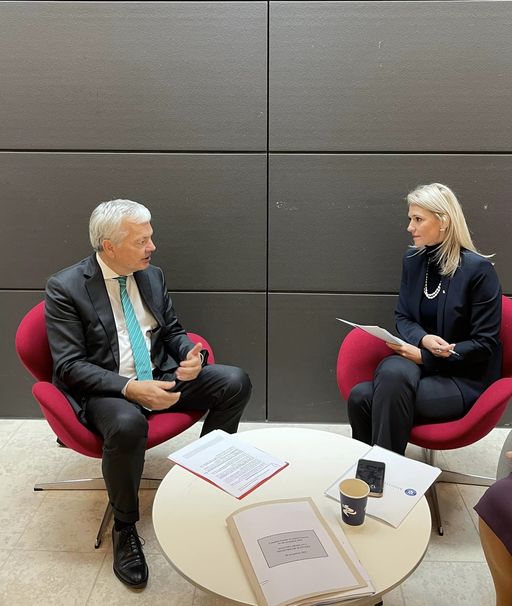 Alina Gorghiu a discutat, în marja Consiliului JAI, cu Didier Reynders, comisarul european pentru justiţie, despre legea pensiilor de serviciu pentru magistraţi / Ea i-a mulţumit acestuia pentru sprijinul ridicării MCV