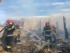 UPDATE - Incendiul de la Ferma Dacilor - Primarul comunei Gura Vadului, fostul primar şi o funcţionară de la urbanism, audiaţi / Funcţionara a fost reţinută/ Primarul şi fostul primar, plasaţi sub control judiciar
