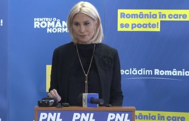 Turcan, despre ancheta DNA în cazul lui Iulian Dumitrescu: Pot să apreciez faptul că şi-a dat demisia din toate funcţiile politice. Orice speţă de genul acesta afectează întreaga clasă politică