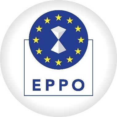 Parchetul European confiscă 2,4 milioane de euro de la un suspect din Bucureşti, într-un dosar privind importuri frauduloase de combustibil în Italia / Au confiscat 18 proprietăţi şi au îngheţat 14 conturi / Prejudiciul total, 92 de milioane de euro  
