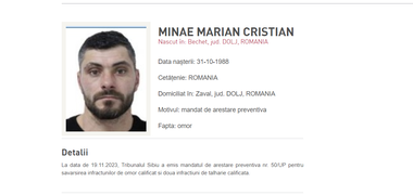 Procedurile în vederea predării unuia dintre inculpaţii în cazul uciderii omului de afaceri din Sibiu Adrian Kreiner încep luni. Bărbatul va fi adus din Irlanda