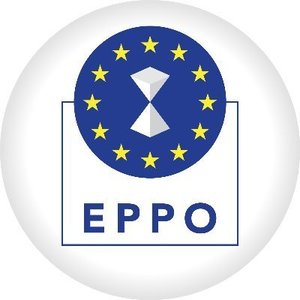 UPDATE - Percheziţii ale Parchetului European, inclusiv la CNAIR, într-un dosar vizând lucrările la centura Zalău, cu finanţare europeană de 37 mil. euro/ Suspiciuni de falsificare a unor acte privind lucrările, care nu ar respecta cerinţele de calitate/ 