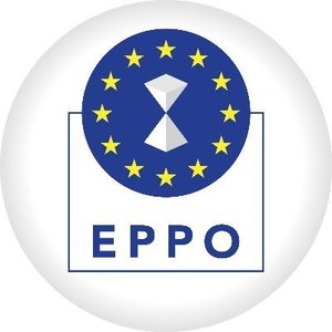Primarul unei comune din judeţul Timiş, trimis în judecată după ce ar fi dat mită şi ar fi obţinut cu acte false 1,4 milioane de euro, bani europeni, pentru trei proiecte / Dosarul, instrumentat de Parchetul European
